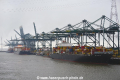 Port of Antwerpen OS-101217-02.jpg